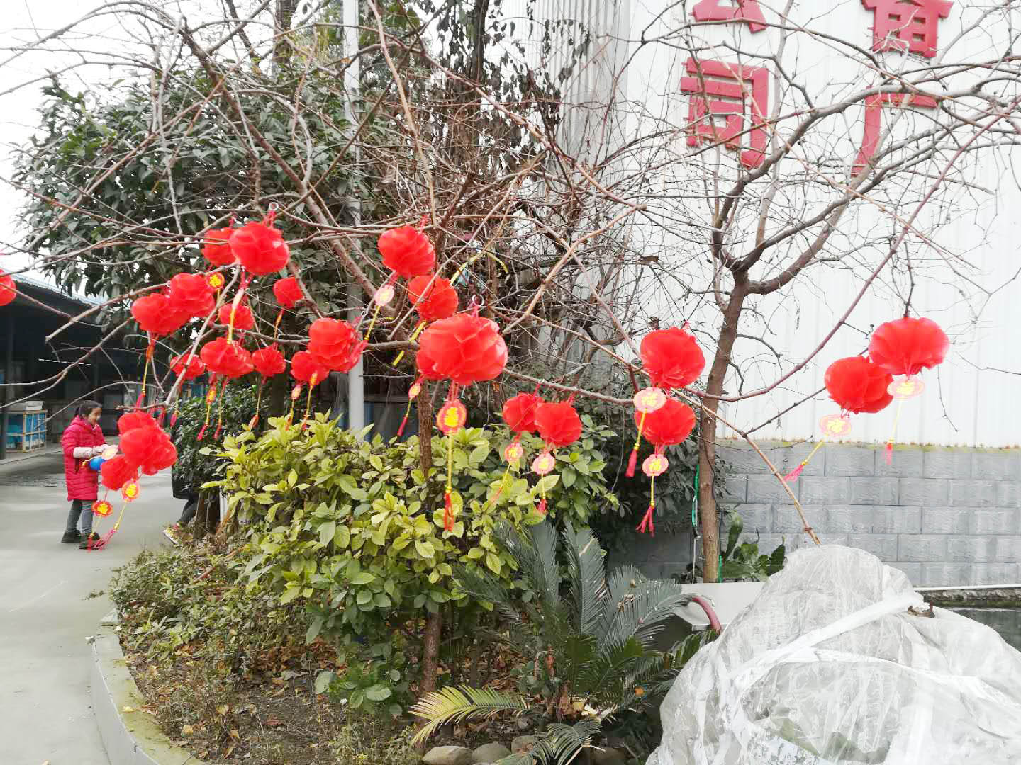四川榴莲视频APP在线观看榴莲网站视频设备公司年会4
