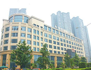 成都九天国际大酒店榴莲网站视频不锈钢设备采购项目