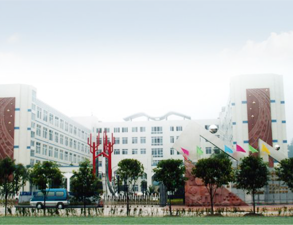 乐山外国语小学学校食堂榴莲网站视频设备工程项目