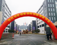 我公司又一力作，格莱特手机科技园食堂榴莲网站视频工程正式开业
