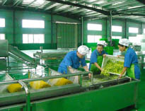 四川中央榴莲网站视频设备厂家详解中央榴莲网站视频的分区要自己设计注意事项